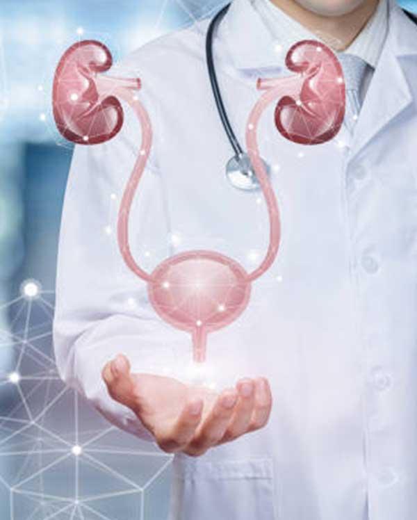 Urology Clinic